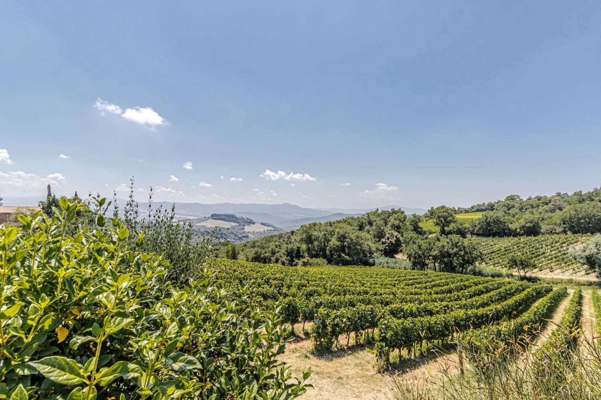 Chateau La Siroque Montecatini Val di Cecina Exterior photo