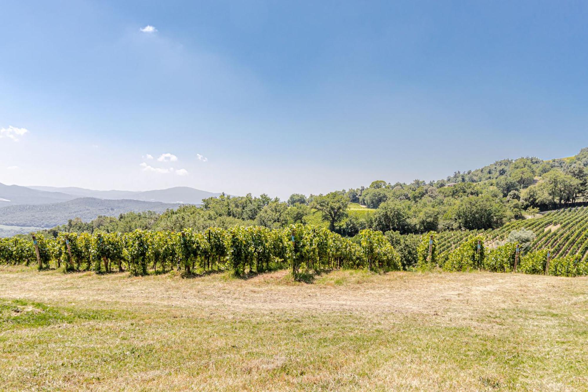 Chateau La Siroque Montecatini Val di Cecina Exterior photo